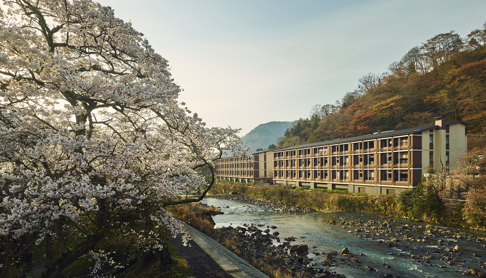 Autumn at Hotel Indigo Hakone Gora