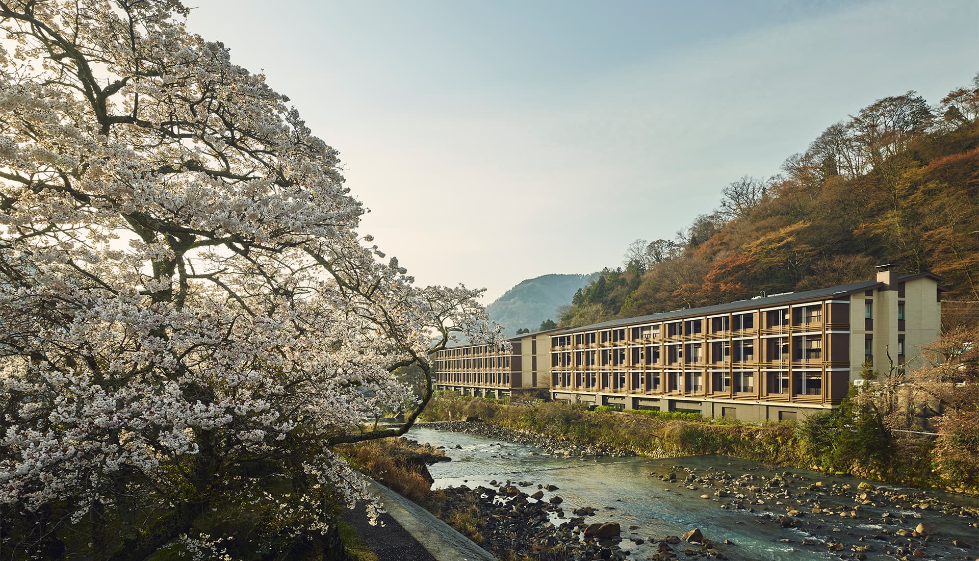 Spring at Hotel Indigo Hakone Gora