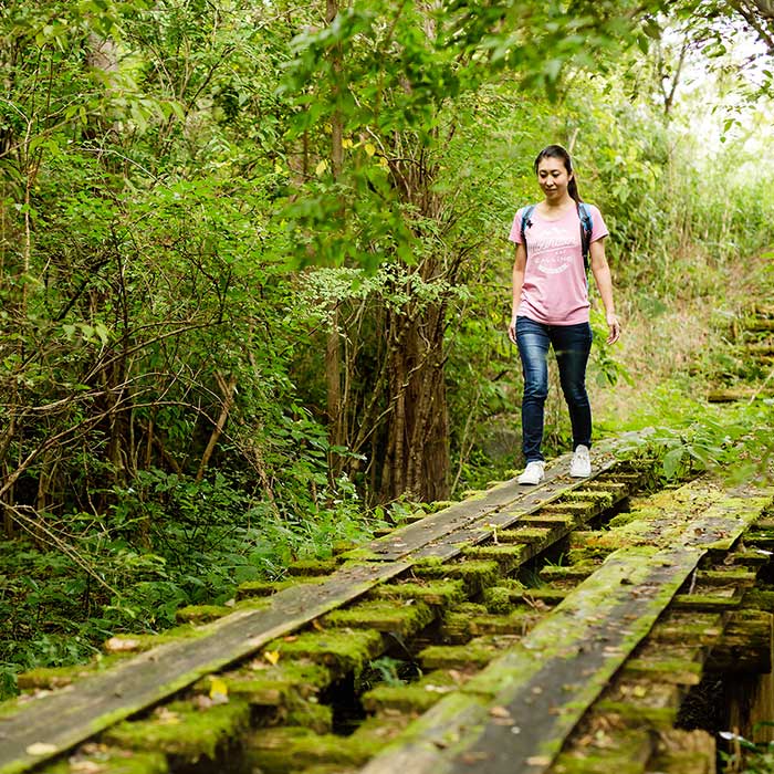 Activities Hotel Indigo Hakone Gora