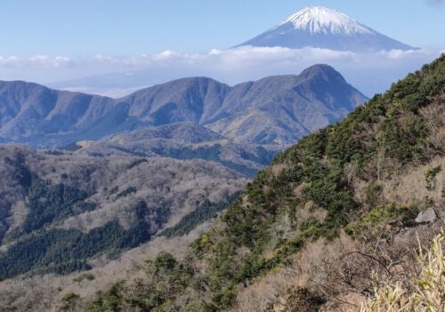 IMG20231230115137 (1)