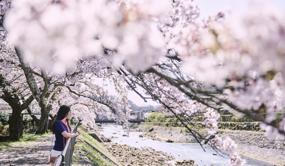 Sakura riverside with model_2