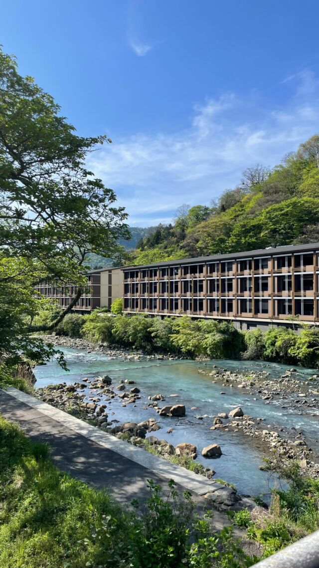 新緑の季節になりました🍃
ホテルのすぐ側を流れる早川🦆
そしてホテルに一歩踏み入れるとコンテンポラリースタイルのデザインと和の伝統が融合した世界が目の前に。
 
Embrace the season's fresh greenery 🍃 with a stroll by the tranquil Hayakawa River, just steps from our hotel. Step inside to discover a world where contemporary design meets Japanese tradition.
-------
#hotelindigohakonegora
#hotelindigo #ihghotels
#hakone #onsen #naturelovers
#温泉旅行 #箱根ホテル #新緑の季節