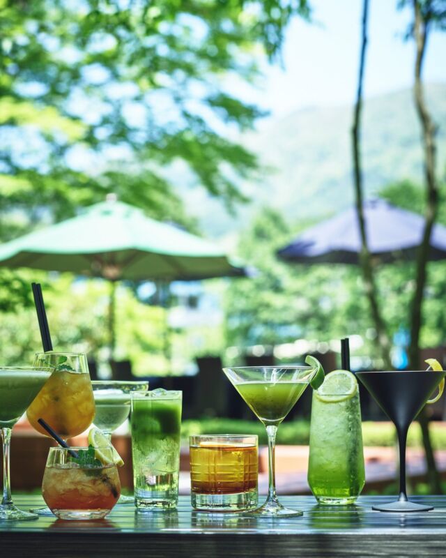 新緑の季節にぴったりの「グリーンカクテル」🍵🌿
箱根の自然を感じながら、爽やかな一杯を。🍸
初夏の風に包まれて、心ほどけるひとときをお過ごしください🍃  🍃 Sip into the season with a refreshing “Green Cocktail”! 🍸🌿
Surrounded by lush Hakone nature, it’s the perfect drink to enjoy under the early summer breeze.
Cheers to fresh air, green views, and relaxing moments. 💚✨
------
#hotelindigohakonegora 
#hotelindigo #ihghotels 
#中庭 #足湯 #足湯カフェ
#hakone #gora #抹茶