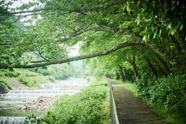 一日の始まり、どう過ごす？☀
ホテルすぐ側の早川沿いをお散歩して深呼吸。🚶‍♀️
24時間フィットネスでアクティブに、🏋️‍♂️
客室温泉風呂でゆったりと。♨
朝のひととき、自分らしくお過ごしください✨  How will you start your day in Hakone? ☀️
A peaceful riverside walk just outside the hotel? 🚶‍♀️
A quick sweat session in our 24-hour gym? 💪
Or a slow, steamy soak in your private onsen bath? 🛀💭
Morning’s all yours—make it count! ✨
------
#hotelindigohakonegora 
#hotelindigo #ihghotels 
#朝散歩 #強羅 #温泉旅行
#morningroutine #onsen #hakone