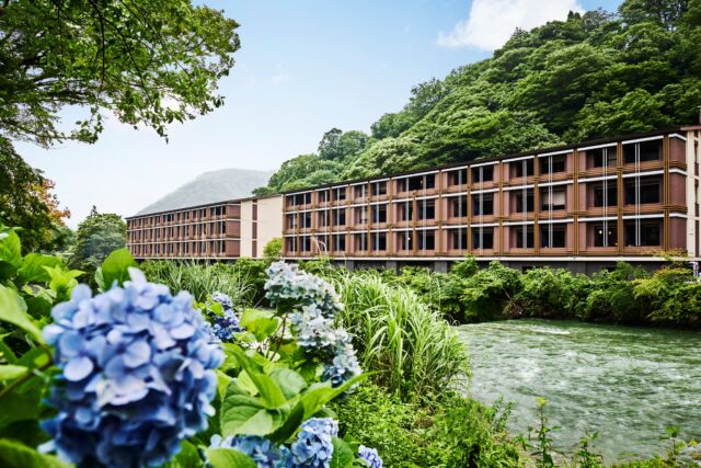 色とりどりの紫陽花がお迎えする、箱根の初夏💐
この時期の箱根登山電車は“あじさい電車”の愛称で親しまれ、沿線に咲き誇る紫陽花を車窓から楽しめます。🚃
ホテルすぐそばの早川沿いの紫陽花の開花も今から待ち遠しいです！✨  Hydrangea season is here and Hakone is bursting into bloom! 💐✨
Hop aboard the famous “Hydrangea Train” 🚃 for a ride through vibrant blossoms that line the tracks.
Closer to home, the riverside near our hotel is getting ready to show off its colors too.
We can’t wait to welcome the full bloom of summer! 💙🌿
------
#hotelindigohakonegora 
#hotelindigo #ihghotels 
#あじさい電車 #紫陽花 #箱根旅行 #お散歩
#Hydrangea #hakone #gora #onsen