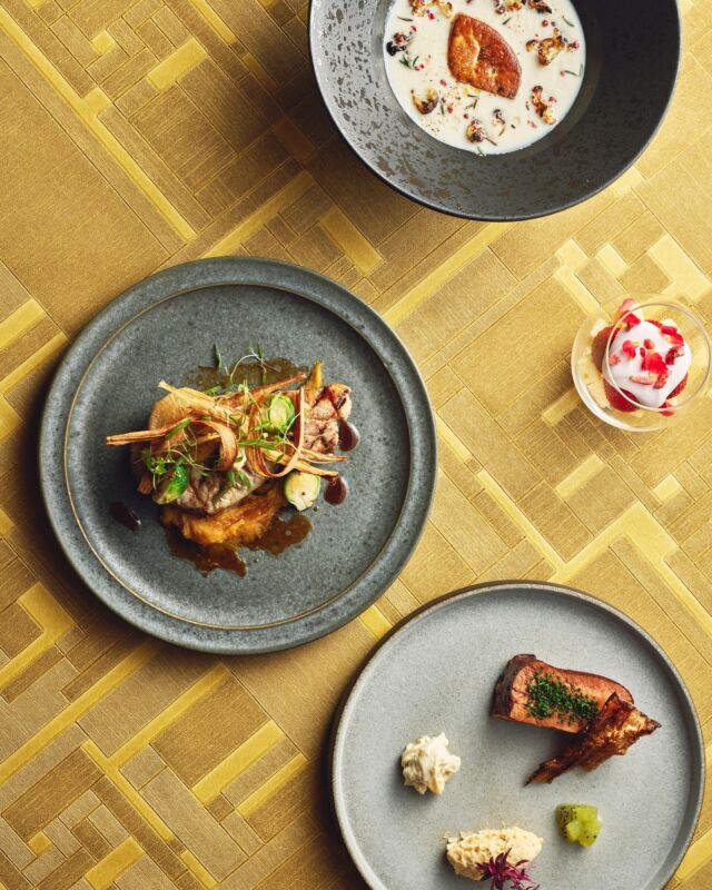 薪の香りが広がるダイニングで、四季とともに巡るディナーコース！🔥
12月からの新メニューを、ぜひお楽しみください。🥂❄️

🍽 STANDARD COURSE

Cozy vibes, wood-fire aromas, and fresh new winter flavors. 🔥✨
Coming this December! 🥂❄️
📌Don’t forget to save this for your winter dinner plans.
------
#hotelindigohakonegora 
#hotelindigo #ihghotels