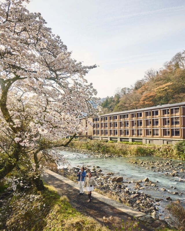 春の箱根🌸
早川を望む中庭の足湯で、季節のカクテルとともに、ゆったりとしたひとときを。🍸

Spring in Hakone 🌸
Kick back with a seasonal cocktail at our courtyard footbath, overlooking the Hayakawa River. 🍹🌿
A little sip, a warm soak, and pure springtime vibes.

👉 Discover more via the link in our bio
@hotelindigohakonegora
------
#hotelindigohakonegora 
#hakone #sakura #足湯