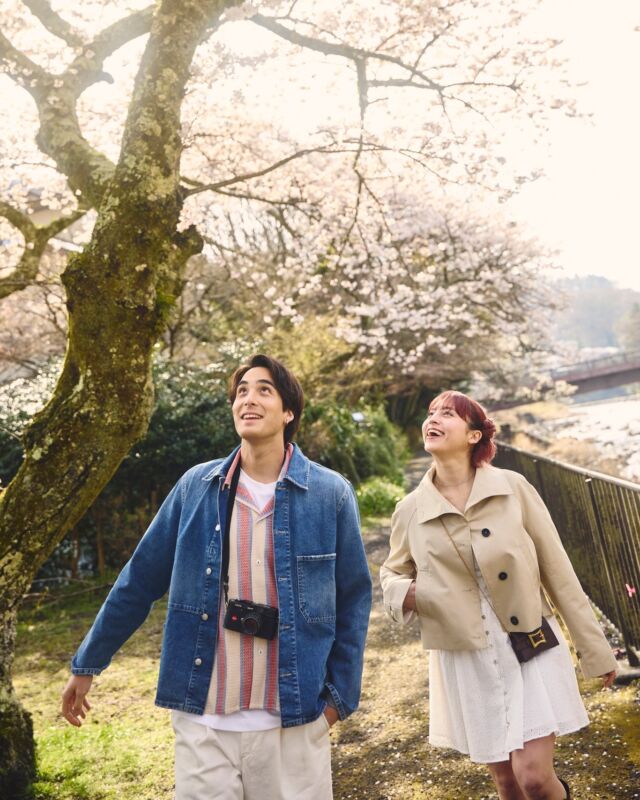 桜の開花が待ち遠しい季節🌸
ホテルからすぐ側の宮城野早川堤の桜並木は、箱根でも人気のお花見スポットのひとつです。
ソメイヨシノやシダレザクラが咲き、やさしい桜色の景色が広がります。

Cherry blossom season is almost here. 🌸
Just a short walk from the hotel, the Miyagino Hayakawa riverside is one of Hakone’s most beloved hanami spots.
Somei Yoshino and graceful weeping cherry trees bloom together, turning the riverside into a soft pink landscape.
 
Come experience the beauty of spring in Hakone. ✨
------
#hotelindigohakonegora 
#sakura #宮城野早川堤の桜