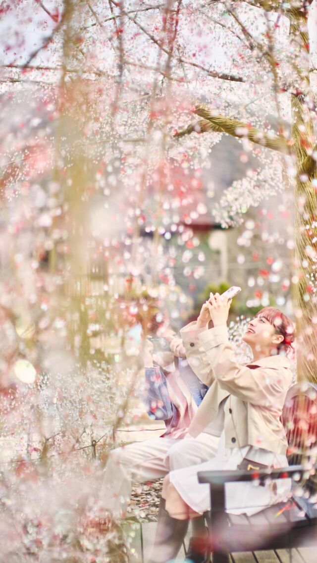 自然に触れ、アートを巡る🍃
たくさん歩いたあとは、
全室プライベート温泉付きの客室で、穏やかなひとときを。
箱根で過ごす、心から安らぐ休日。
 
@thehakoneopenairmuseum 
@nicolaibergmann_hakonegardens 
@hakonegarasunomori 
@hakone_goura_park 「白雲洞茶苑」
 
Spend the day exploring Hakone’s nature and art 🍃
Then head back for a soothing soak in your private onsen. ♨️
Simple, peaceful, and perfectly Hakone.
 
——
#hotelindigohakonegora
#箱根観光 #温泉旅行