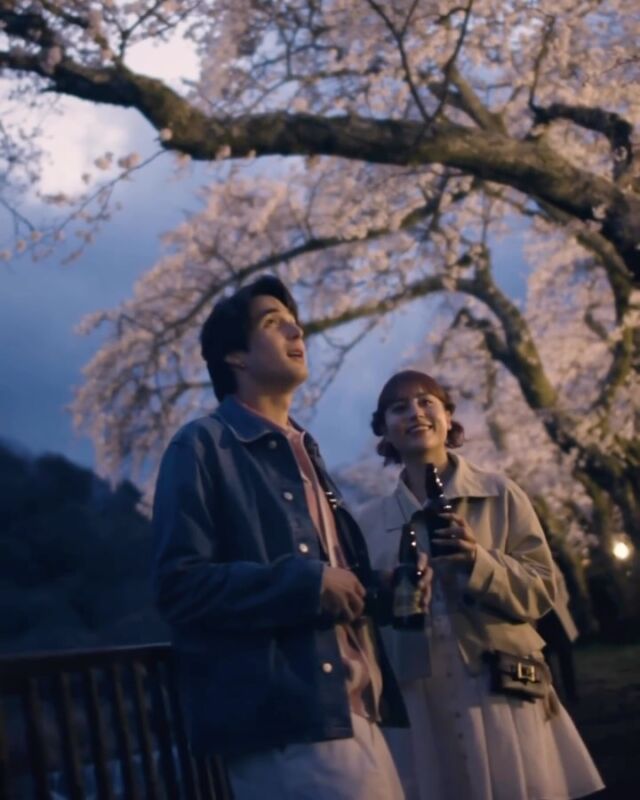 ライトアップに包まれた桜並木と、舞い落ちる花びら🌸
移ろう季節の美しさが、静かに広がります。 
この春、箱根で心ほどけるひとときを♨
 
Cherry blossom trees bathed in soft illumination, petals drifting through the air. 🌸 
The quiet beauty of the changing season gently unfolds. 
This spring, discover a moment of relaxation in Hakone.🛀🍃
——
#hotelindigohakonegora
#sakura #hakone #温泉旅行