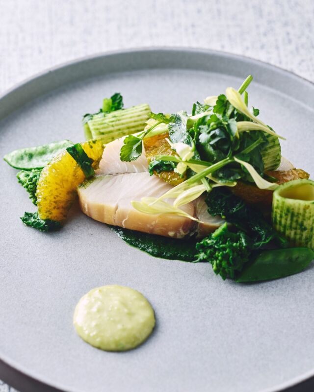 シグネチャーコースでしか味わえない、「地魚のグリル 旬の野菜とグリーンピースソース」🌿
 
春が旬のグリーンピースを使ったフランス料理「プティポワ・ア・ラ・フランセーズ」をイメージしたソースには、旬のクラムジュースとグリーンピースを合わせ、フレンチ出身の総料理長・坂本ならではの味わいに仕上げました。
 
付け合わせには旬の野菜とイカを、アクセントに地元の湯葉を添えて。
 
五感で楽しむ、季節の一皿をお楽しみください。🍽🥂

▷詳細はプロフィールリンクから
@hotelindigohakonegora

Exclusively in our Signature Course ✨
“Grilled Local Fish with Seasonal Vegetables & Green Pea Sauce” 🌿

A little French technique, a little Hakone charm—Chef Sakamoto brings it all together.
Green pea sauce inspired by Petit Pois à la Française, enriched with clam jus for a refined, savory depth.

Finished with seasonal vegetables, squid,
and a delicate touch of local yuba (tofu skin).
A fresh, feel-good dish to enjoy with all your senses 🍽✨
👉 You’ve got to try this!

------
#hotelindigohakonegora 
#hakone #薪火料理