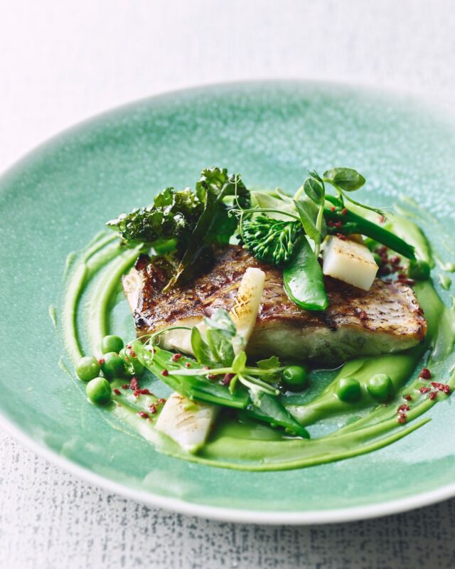 シグネチャーコースでしか味わえない、「地魚のグリル 旬の野菜とグリーンピースソース」🌿
 
春が旬のグリーンピースを使ったフランス料理「プティポワ・ア・ラ・フランセーズ」をイメージしたソースには、旬のクラムジュースとグリーンピースを合わせ、フレンチ出身の総料理長・坂本ならではの味わいに仕上げました。
 
付け合わせには旬の野菜とイカを、アクセントに地元の湯葉を添えて。
 
五感で楽しむ、季節の一皿をお楽しみください。🍽🥂

▷詳細はプロフィールリンクから
@hotelindigohakonegora

Exclusively in our Signature Course ✨
“Grilled Local Fish with Seasonal Vegetables & Green Pea Sauce” 🌿

A little French technique, a little Hakone charm—Chef Sakamoto brings it all together.
Green pea sauce inspired by Petit Pois à la Française, enriched with clam jus for a refined, savory depth.

Finished with seasonal vegetables, squid,
and a delicate touch of local yuba (tofu skin).
A fresh, feel-good dish to enjoy with all your senses 🍽✨
👉 You’ve got to try this!

------
#hotelindigohakonegora 
#hakone #薪火料理