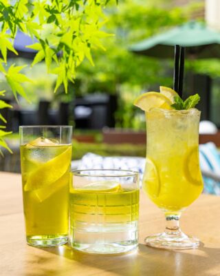 箱根の自然に包まれながら、ここでしか味わえない一杯を。🍸
刺激的な辛さと爽快感が織りなす、季節限定カクテル。
夏の箱根で、新しい味わいとの出会いをお楽しみください✨

Surrounded by Hakone's natural beauty, discover a cocktail experience like no other. 🍸 
Our seasonal cocktails feature ABSOLUT® TABASCO™ Vodka, Kanade Matcha, and CODIGO Blanco. 
Create unforgettable summer moments in Hakone, one sip at a time. ✨

---
#hotelindigohakonegora 
#summervacation  #箱根旅行