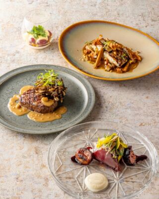 🍽️9-11月:シグネチャーコース

薪火を軸に、地魚と国産牛、秋の実りをシェフの感性で紡ぐ特選コースです。
香ばしさの奥に、ピーナッツや熟成味噌、
練り胡麻が生む意外性と奥行きを重ね、素材の魅力を力強く引き出しました。
記憶に残る香りと味わいが響き合う、
ホテルインディゴらしい秋のガストロノミーをお愉しみください。

—-
#hotelindigohakonegora
#薪グリル　#ディナーコース

カツオのたたき いちじくと南箱根ゴーダ 
豆腐と湘南ゴールドのエマルジョン

地魚の薪グリル 
ピーナッツエキス 大地の野菜

国産牛サーロインの薪焼
加藤兵太郎商店の熟成味噌
焦がし舞茸

葡萄のマリネとヨーグルトのヴェール
パスティスのサバイヨン